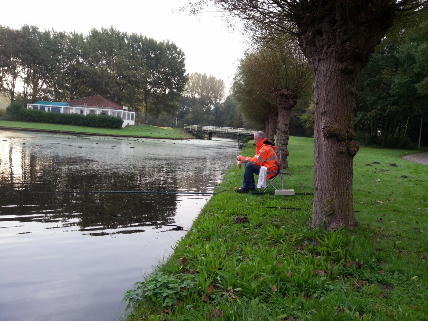 20141011_085817.jpg